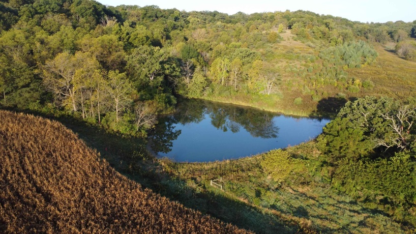 57.83 Acres Menzemer, ELIZABETH, Illinois 61028, ,Land,For Sale,Menzemer,202506330