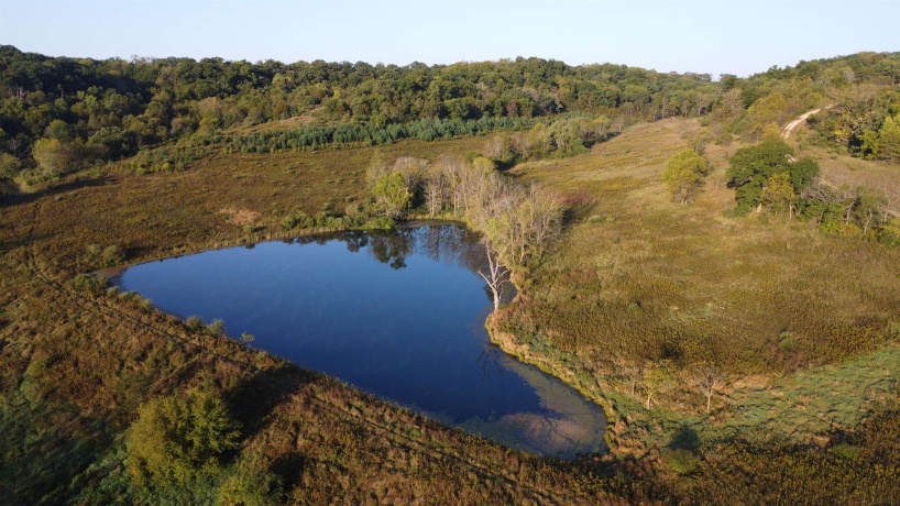 57.83 Acres Menzemer, ELIZABETH, Illinois 61028, ,Land,For Sale,Menzemer,202506330