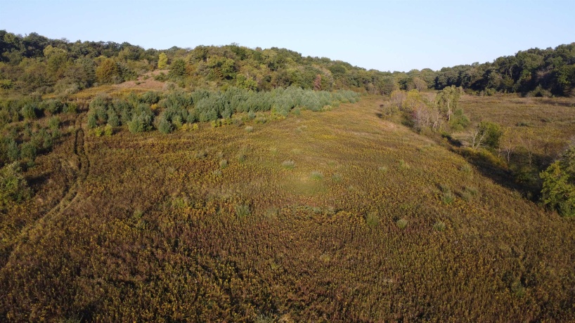 57.83 Acres Menzemer, ELIZABETH, Illinois 61028, ,Land,For Sale,Menzemer,202506330