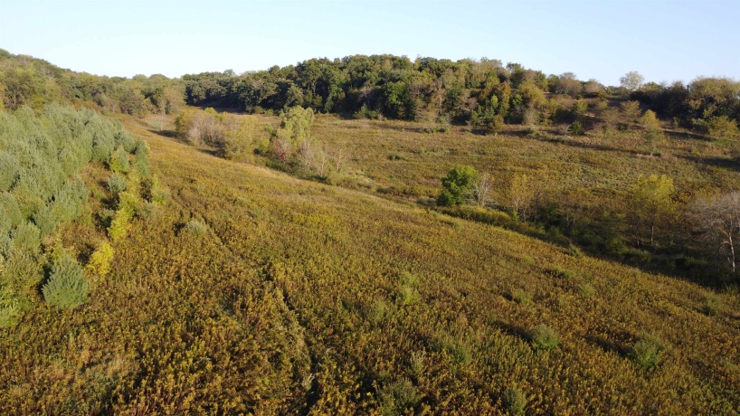 57.83 Acres Menzemer, ELIZABETH, Illinois 61028, ,Land,For Sale,Menzemer,202506330
