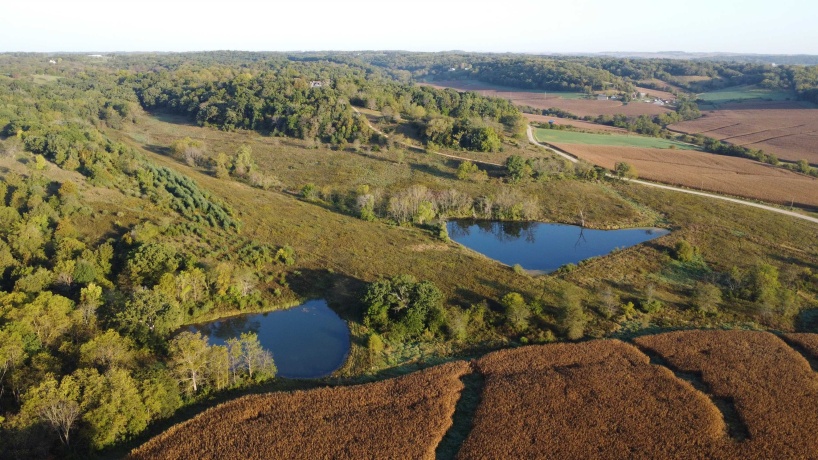 57.83 Acres Menzemer, ELIZABETH, Illinois 61028, ,Land,For Sale,Menzemer,202506330