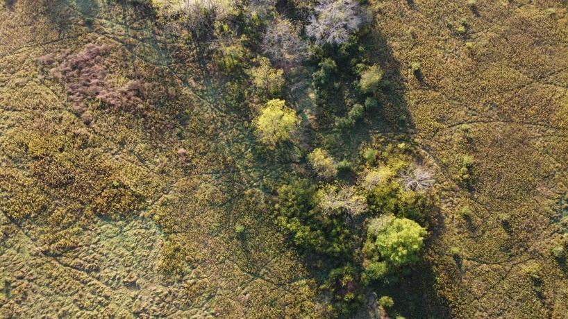 57.83 Acres Menzemer, ELIZABETH, Illinois 61028, ,Land,For Sale,Menzemer,202506330