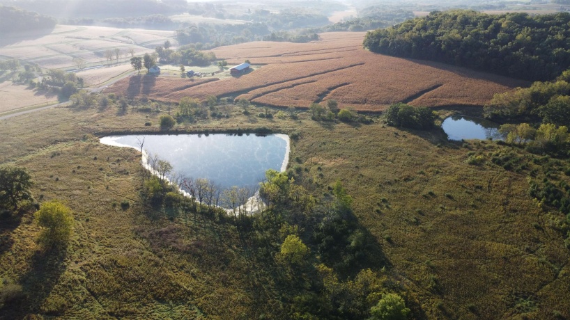 57.83 Acres Menzemer, ELIZABETH, Illinois 61028, ,Land,For Sale,Menzemer,202506330