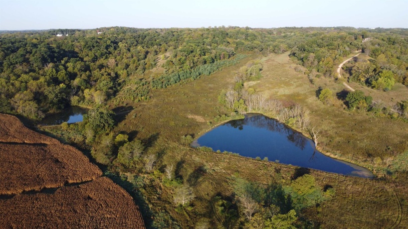 57.83 Acres Menzemer, ELIZABETH, Illinois 61028, ,Land,For Sale,Menzemer,202506330