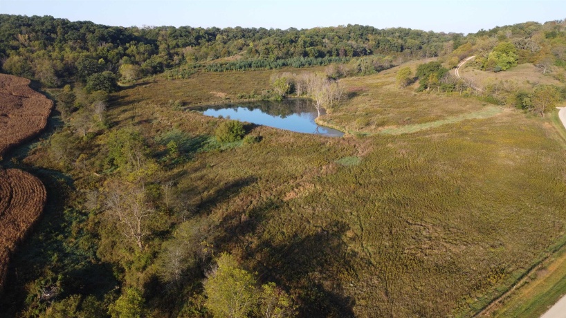 57.83 Acres Menzemer, ELIZABETH, Illinois 61028, ,Land,For Sale,Menzemer,202506330