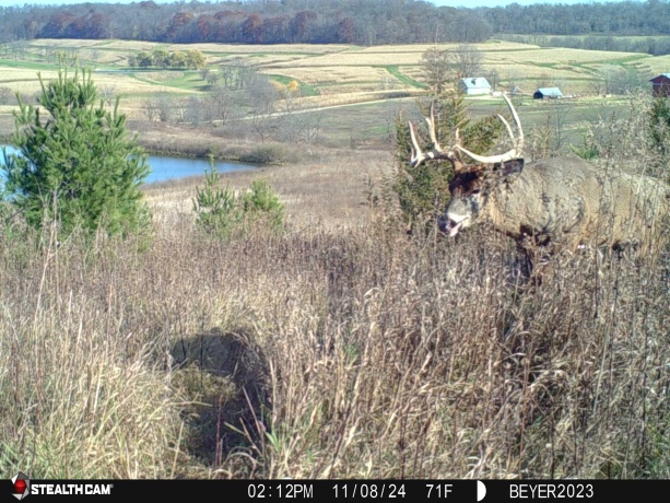 57.83 Acres Menzemer, ELIZABETH, Illinois 61028, ,Land,For Sale,Menzemer,202506330