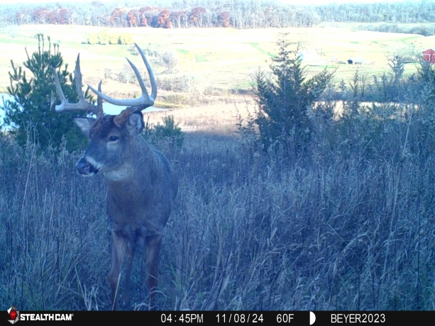 57.83 Acres Menzemer, ELIZABETH, Illinois 61028, ,Land,For Sale,Menzemer,202506330