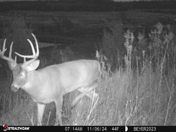 57.83 Acres Menzemer, ELIZABETH, Illinois 61028, ,Land,For Sale,Menzemer,202506330