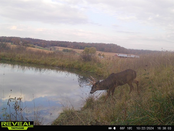 57.83 Acres Menzemer, ELIZABETH, Illinois 61028, ,Land,For Sale,Menzemer,202506330