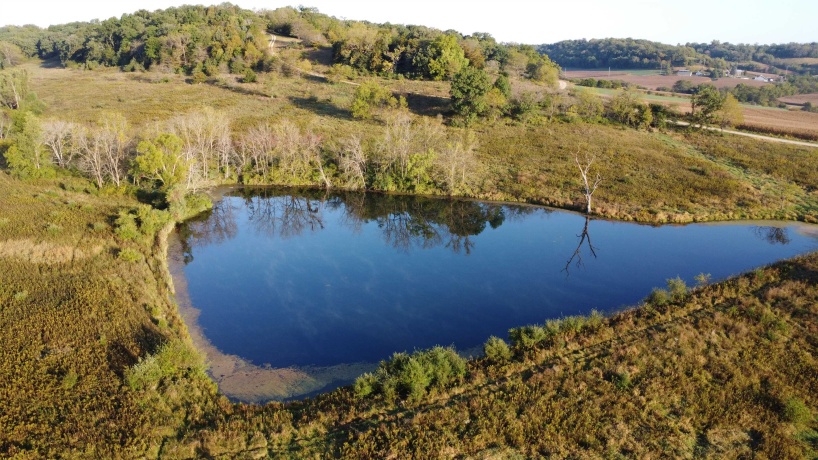 57.83 Acres Menzemer, ELIZABETH, Illinois 61028, ,Land,For Sale,Menzemer,202506330