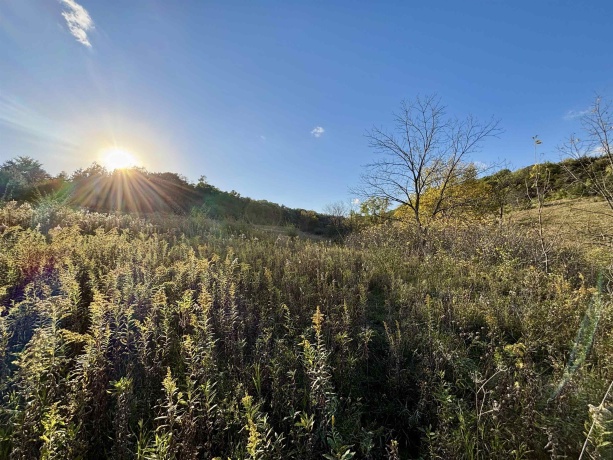 57.83 Acres Menzemer, ELIZABETH, Illinois 61028, ,Land,For Sale,Menzemer,202506330