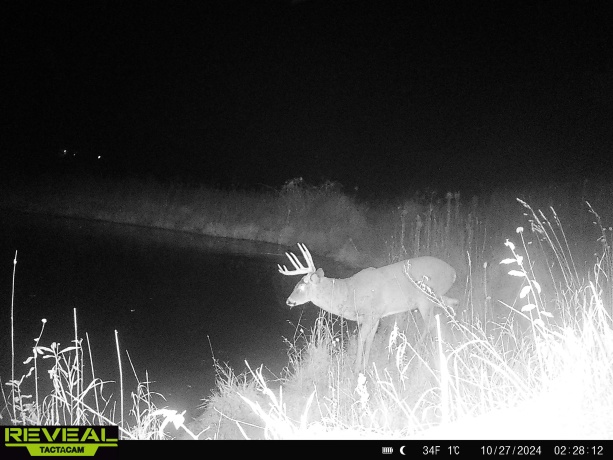 57.83 Acres Menzemer, ELIZABETH, Illinois 61028, ,Land,For Sale,Menzemer,202506330