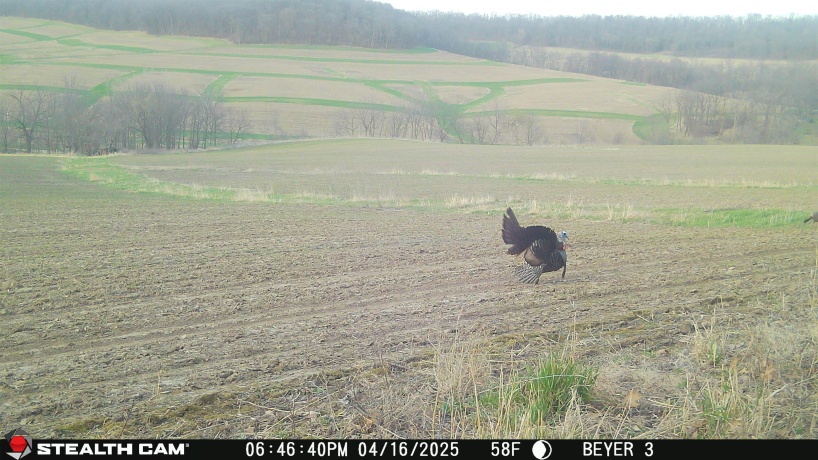 57.83 Acres Menzemer, ELIZABETH, Illinois 61028, ,Land,For Sale,Menzemer,202506330