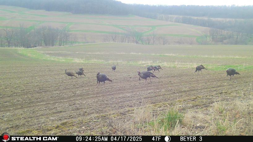 57.83 Acres Menzemer, ELIZABETH, Illinois 61028, ,Land,For Sale,Menzemer,202506330