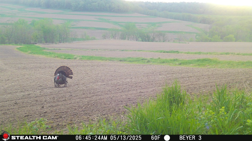 57.83 Acres Menzemer, ELIZABETH, Illinois 61028, ,Land,For Sale,Menzemer,202506330