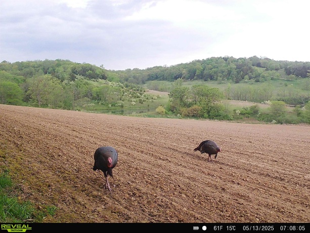 57.83 Acres Menzemer, ELIZABETH, Illinois 61028, ,Land,For Sale,Menzemer,202506330