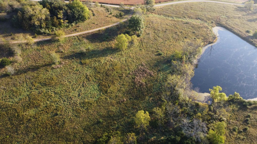 57.83 Acres Menzemer, ELIZABETH, Illinois 61028, ,Land,For Sale,Menzemer,202506330