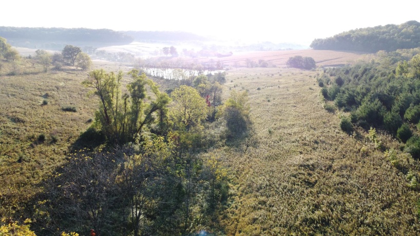 57.83 Acres Menzemer, ELIZABETH, Illinois 61028, ,Land,For Sale,Menzemer,202506330