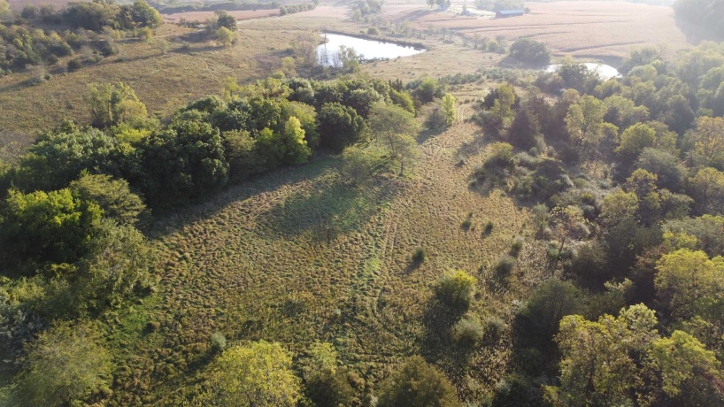 57.83 Acres Menzemer, ELIZABETH, Illinois 61028, ,Land,For Sale,Menzemer,202506330
