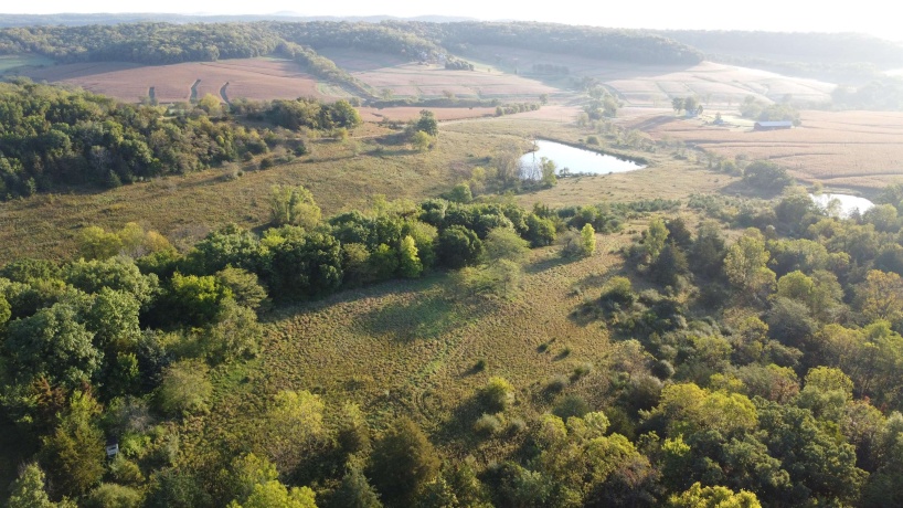 57.83 Acres Menzemer, ELIZABETH, Illinois 61028, ,Land,For Sale,Menzemer,202506330