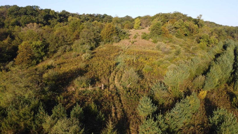 57.83 Acres Menzemer, ELIZABETH, Illinois 61028, ,Land,For Sale,Menzemer,202506330