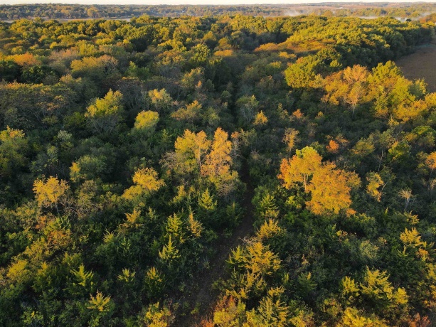 000 US BYPASS 20, FREEPORT, Illinois 61032, ,Land,For Sale,US BYPASS 20,202506331