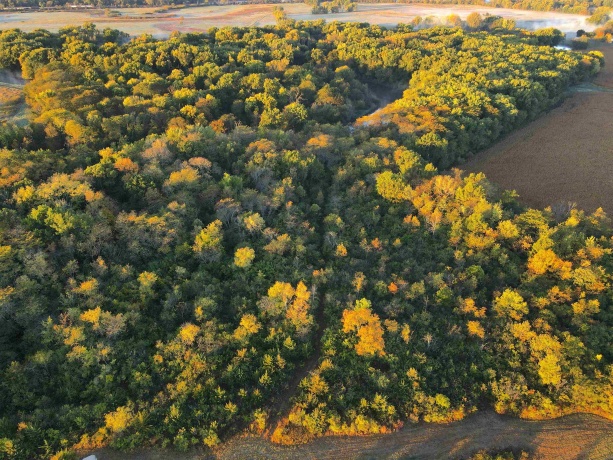 000 US BYPASS 20, FREEPORT, Illinois 61032, ,Land,For Sale,US BYPASS 20,202506331