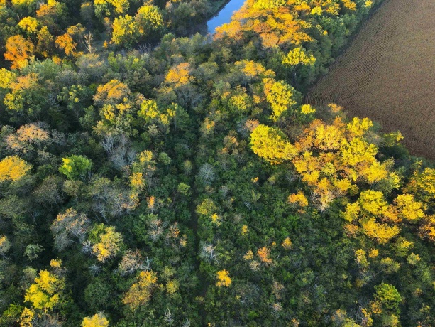 000 US BYPASS 20, FREEPORT, Illinois 61032, ,Land,For Sale,US BYPASS 20,202506331