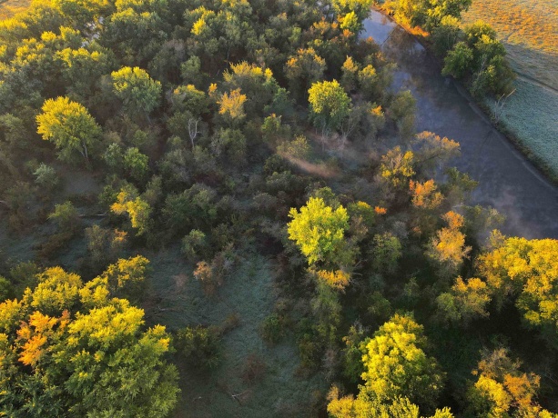 000 US BYPASS 20, FREEPORT, Illinois 61032, ,Land,For Sale,US BYPASS 20,202506331