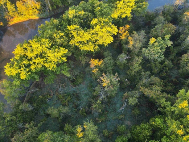 000 US BYPASS 20, FREEPORT, Illinois 61032, ,Land,For Sale,US BYPASS 20,202506331