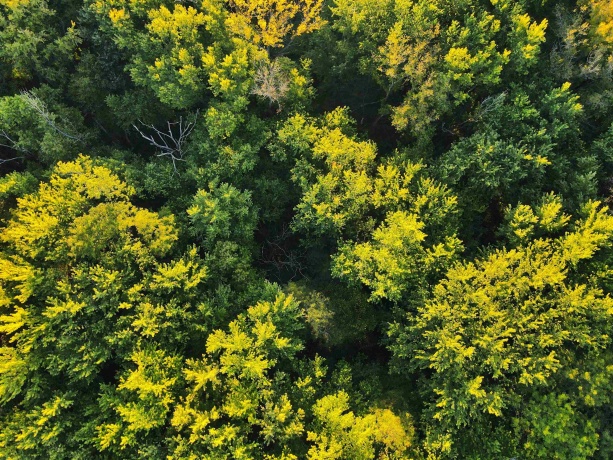 000 US BYPASS 20, FREEPORT, Illinois 61032, ,Land,For Sale,US BYPASS 20,202506331