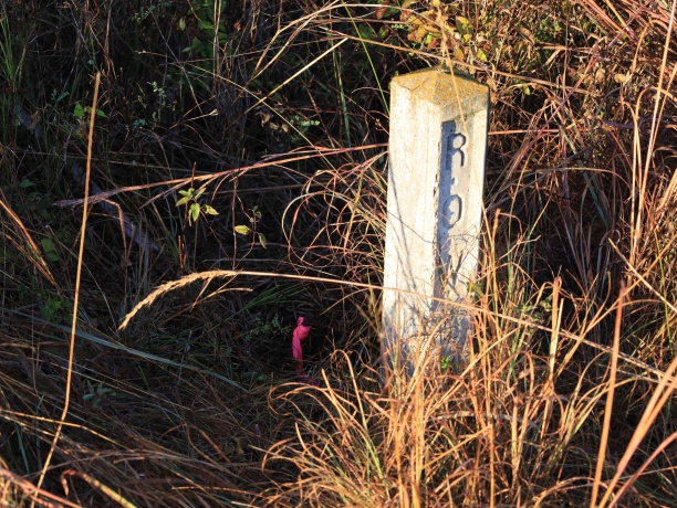 000 US BYPASS 20, FREEPORT, Illinois 61032, ,Land,For Sale,US BYPASS 20,202506331