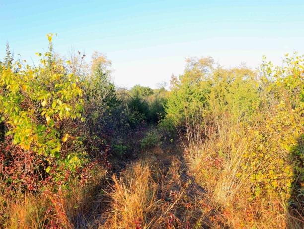 000 US BYPASS 20, FREEPORT, Illinois 61032, ,Land,For Sale,US BYPASS 20,202506331