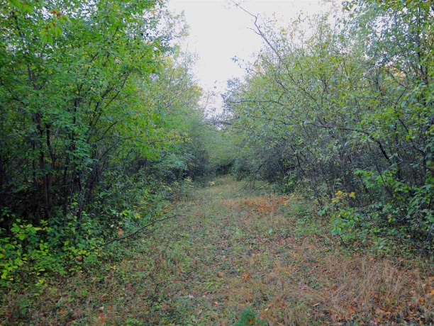 000 US BYPASS 20, FREEPORT, Illinois 61032, ,Land,For Sale,US BYPASS 20,202506331