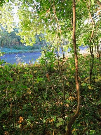 000 US BYPASS 20, FREEPORT, Illinois 61032, ,Land,For Sale,US BYPASS 20,202506331