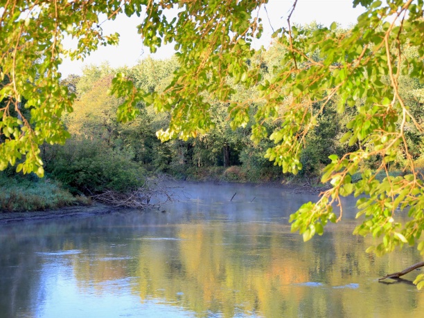 000 US BYPASS 20, FREEPORT, Illinois 61032, ,Land,For Sale,US BYPASS 20,202506331