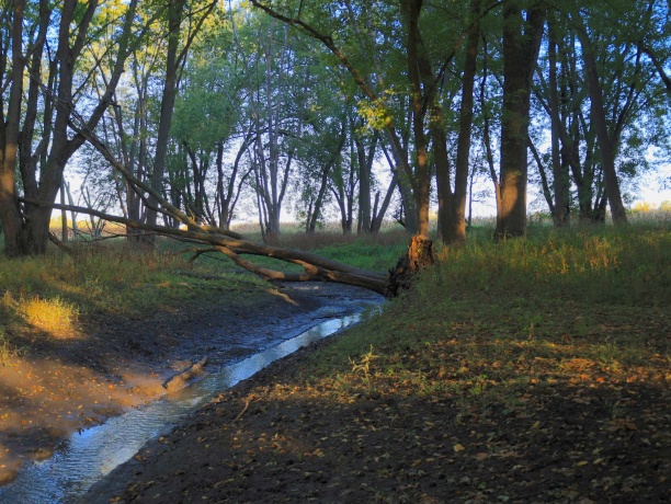 000 US BYPASS 20, FREEPORT, Illinois 61032, ,Land,For Sale,US BYPASS 20,202506331