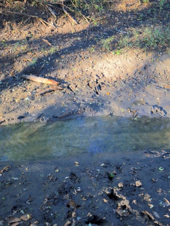 000 US BYPASS 20, FREEPORT, Illinois 61032, ,Land,For Sale,US BYPASS 20,202506331