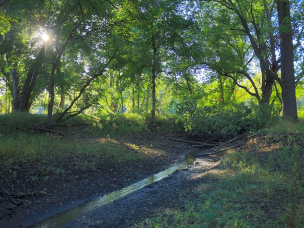 000 US BYPASS 20, FREEPORT, Illinois 61032, ,Land,For Sale,US BYPASS 20,202506331