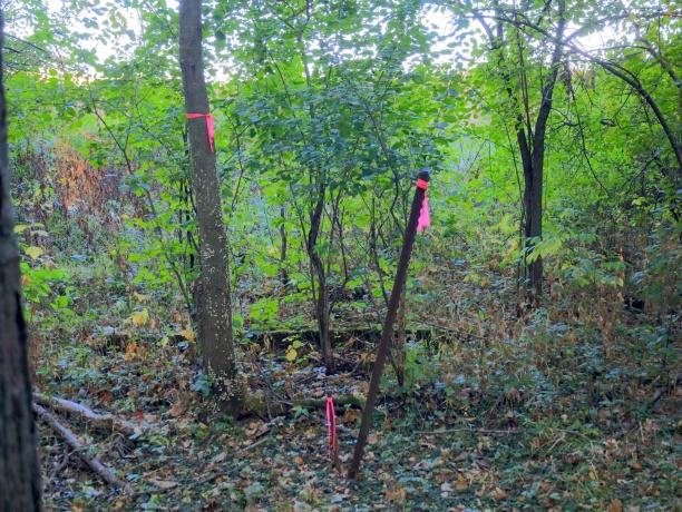 000 US BYPASS 20, FREEPORT, Illinois 61032, ,Land,For Sale,US BYPASS 20,202506331