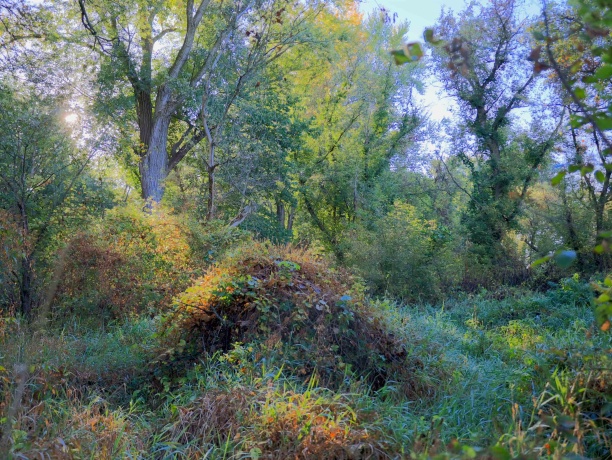 000 US BYPASS 20, FREEPORT, Illinois 61032, ,Land,For Sale,US BYPASS 20,202506331