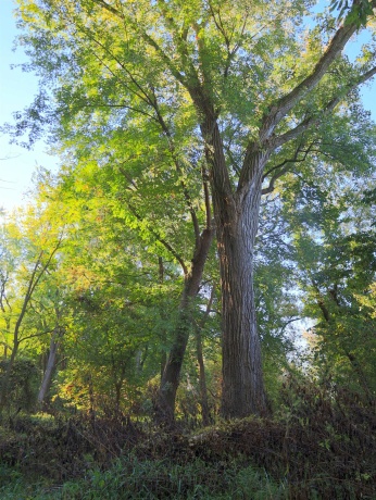 000 US BYPASS 20, FREEPORT, Illinois 61032, ,Land,For Sale,US BYPASS 20,202506331