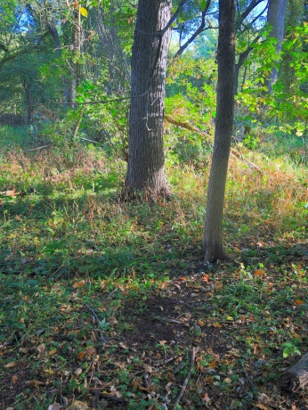 000 US BYPASS 20, FREEPORT, Illinois 61032, ,Land,For Sale,US BYPASS 20,202506331