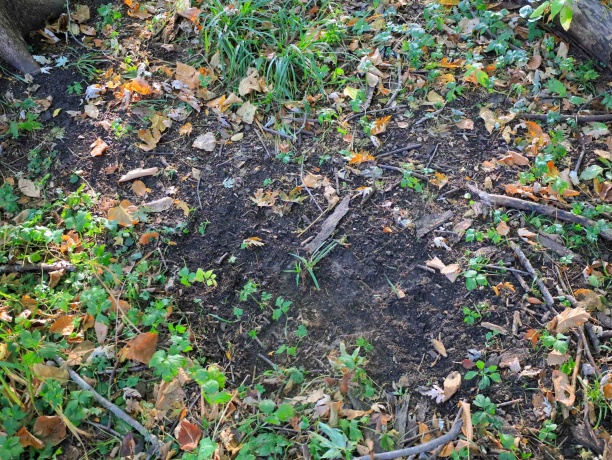 000 US BYPASS 20, FREEPORT, Illinois 61032, ,Land,For Sale,US BYPASS 20,202506331