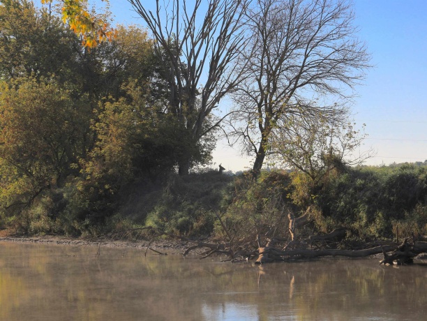 000 US BYPASS 20, FREEPORT, Illinois 61032, ,Land,For Sale,US BYPASS 20,202506331