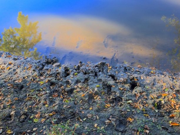 000 US BYPASS 20, FREEPORT, Illinois 61032, ,Land,For Sale,US BYPASS 20,202506331