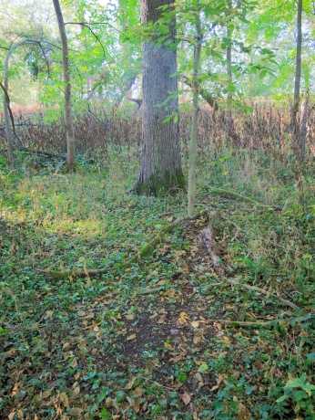 000 US BYPASS 20, FREEPORT, Illinois 61032, ,Land,For Sale,US BYPASS 20,202506331