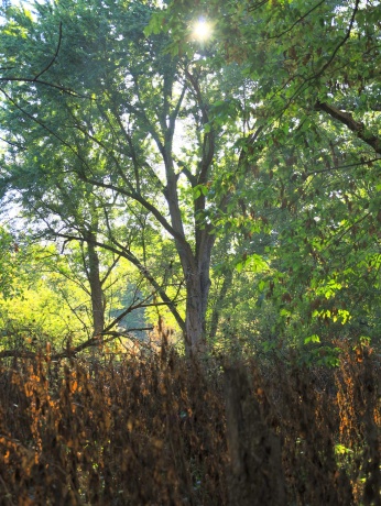 000 US BYPASS 20, FREEPORT, Illinois 61032, ,Land,For Sale,US BYPASS 20,202506331