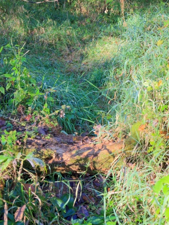 000 US BYPASS 20, FREEPORT, Illinois 61032, ,Land,For Sale,US BYPASS 20,202506331