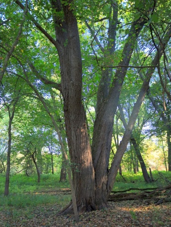 000 US BYPASS 20, FREEPORT, Illinois 61032, ,Land,For Sale,US BYPASS 20,202506331